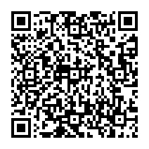 QR to open the Android build